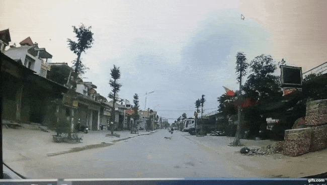 Chiếc xe m&aacute;y chở 2 thanh ni&ecirc;n t&ocirc;ng tr&uacute;ng ch&oacute; chạy sang đường
