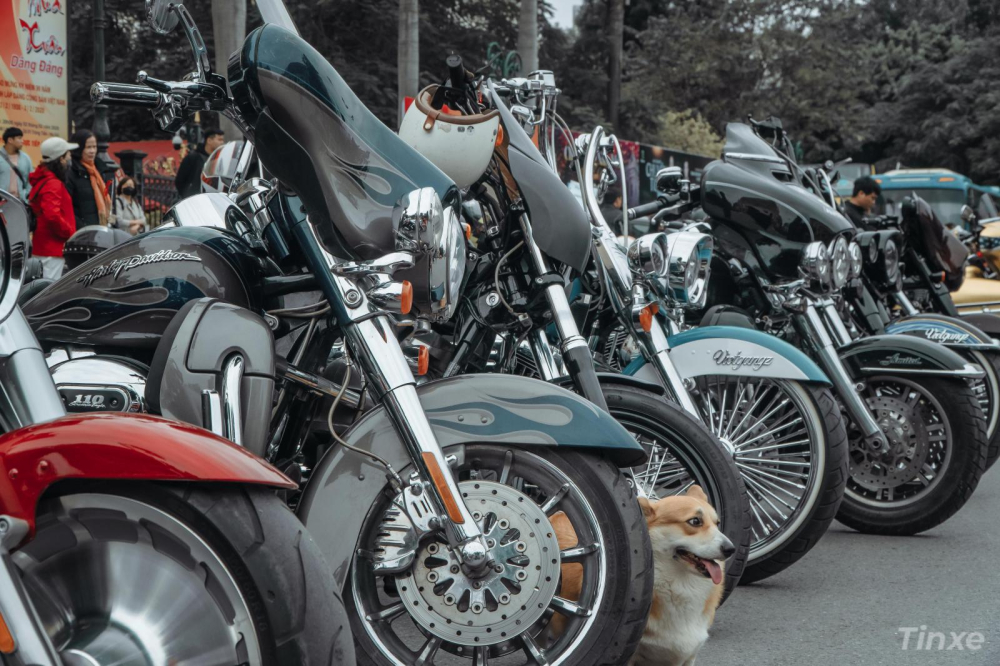 Dàn xe Harley của Vietgangz nổi bật giữa đám đông với phong cách độc đáo
