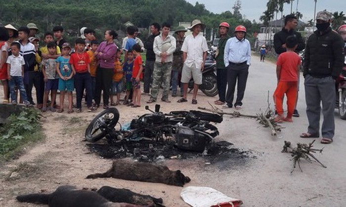 Hiện trường sự việc với 2 người bất tỉnh cùng với 3 con chó và 1 chiếc xe máy cháy rụi tại Nghệ An 
