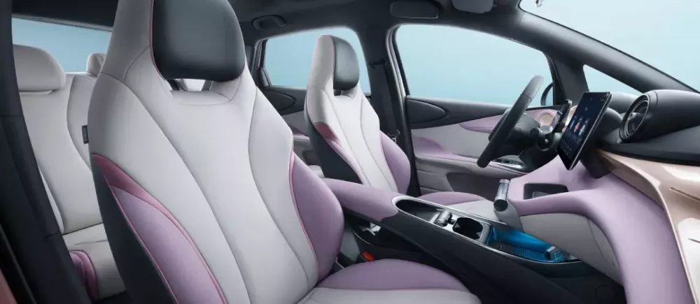 Hàng ghế trước của BYD Dolphin Hàng ghế trước của BYD Dolphin